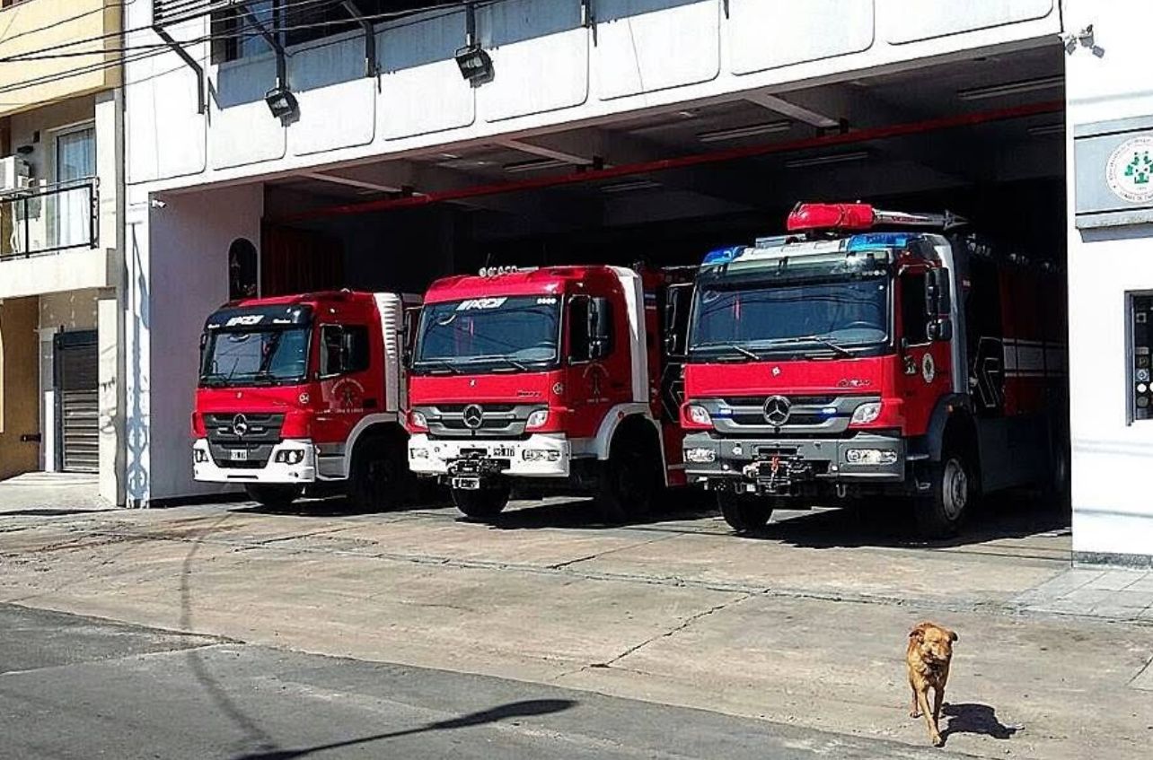 Día del trabajador