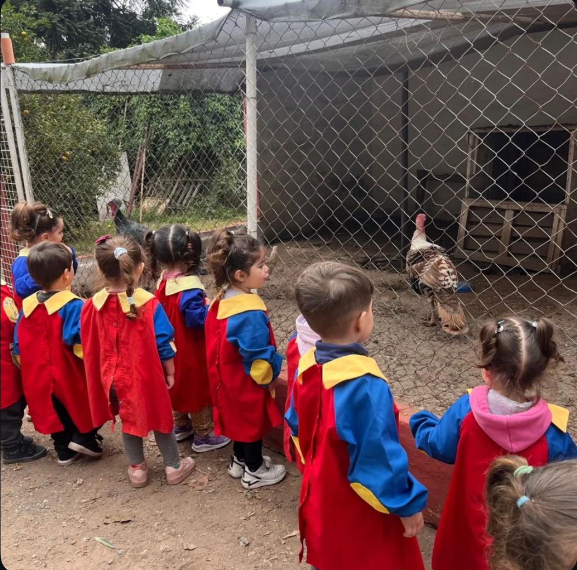 Visita a la granja